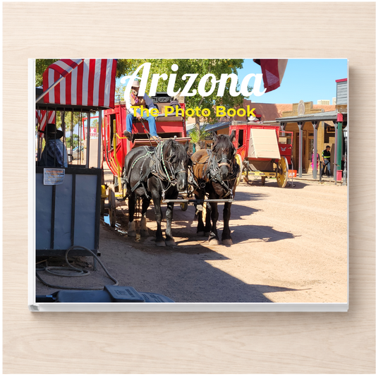 Arizona: The Photo Book