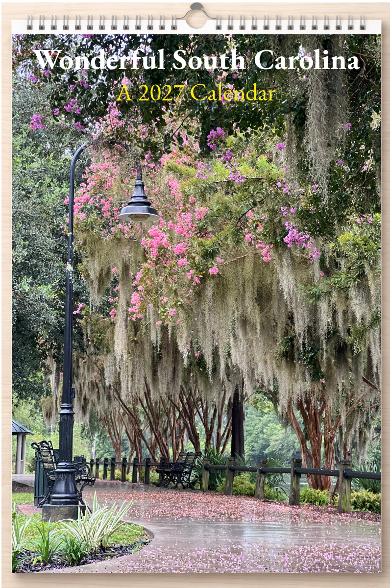 Wonderful South Carolina: A 2027 Calendar