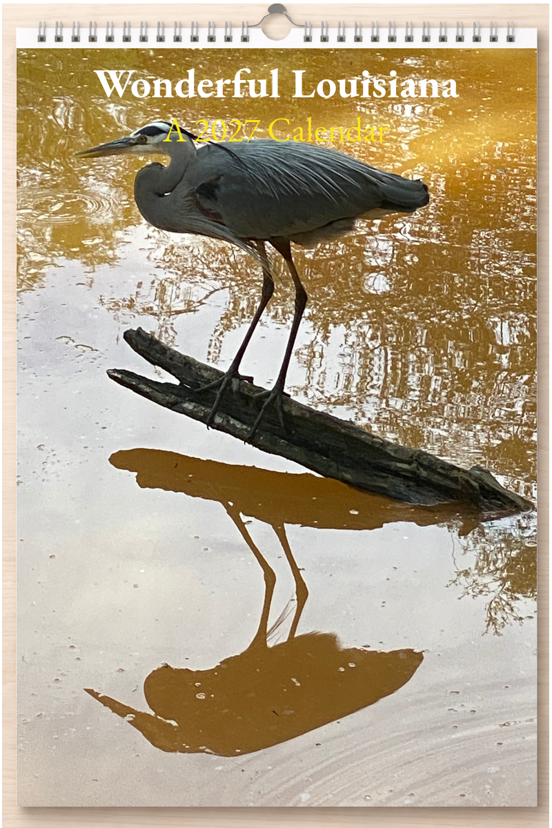 Wonderful Louisiana: A 2027 Calendar