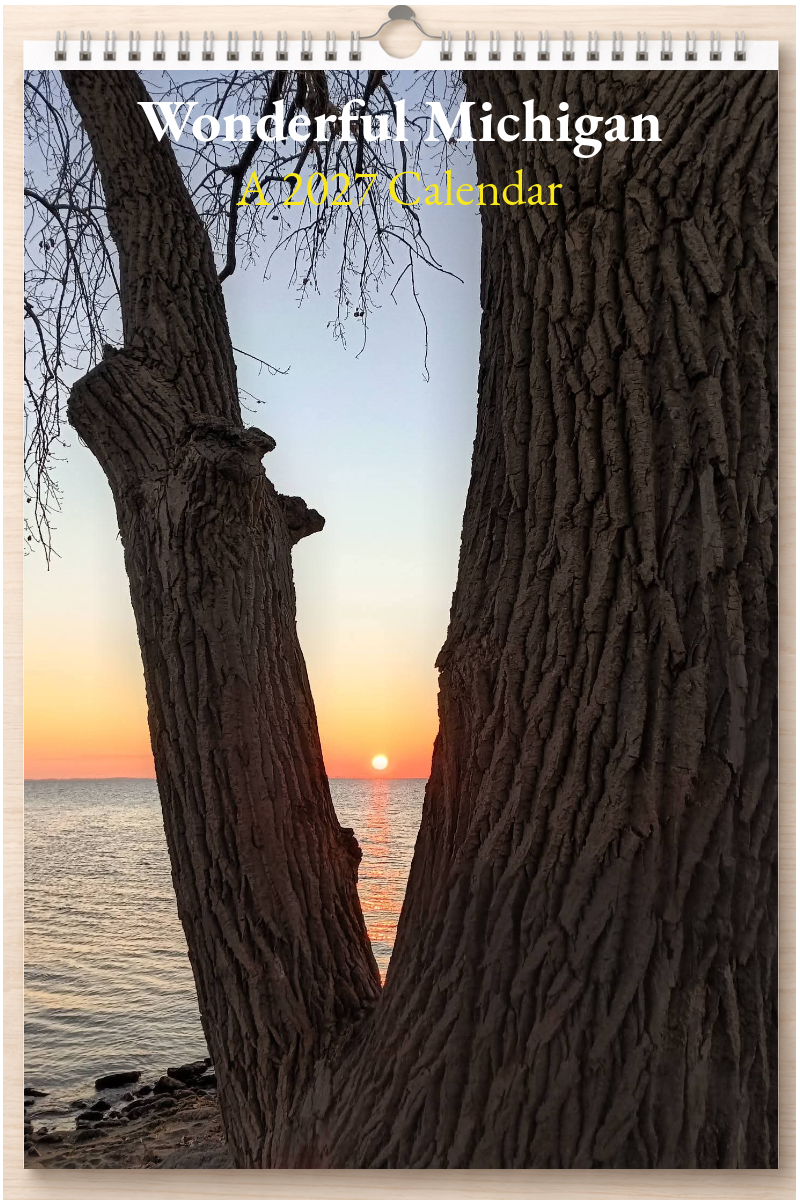 Wonderful Michigan: A 2027 Calendar