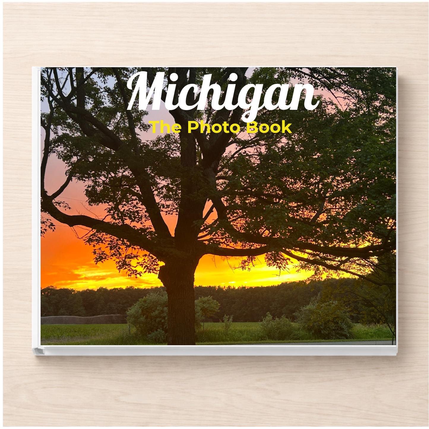 Michigan: The Photo Book
