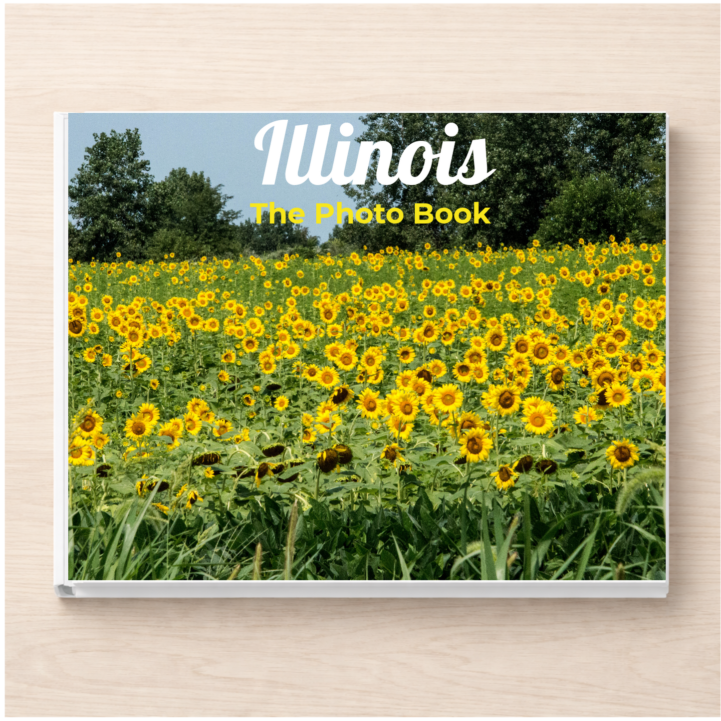 Illinois: The Photo Book