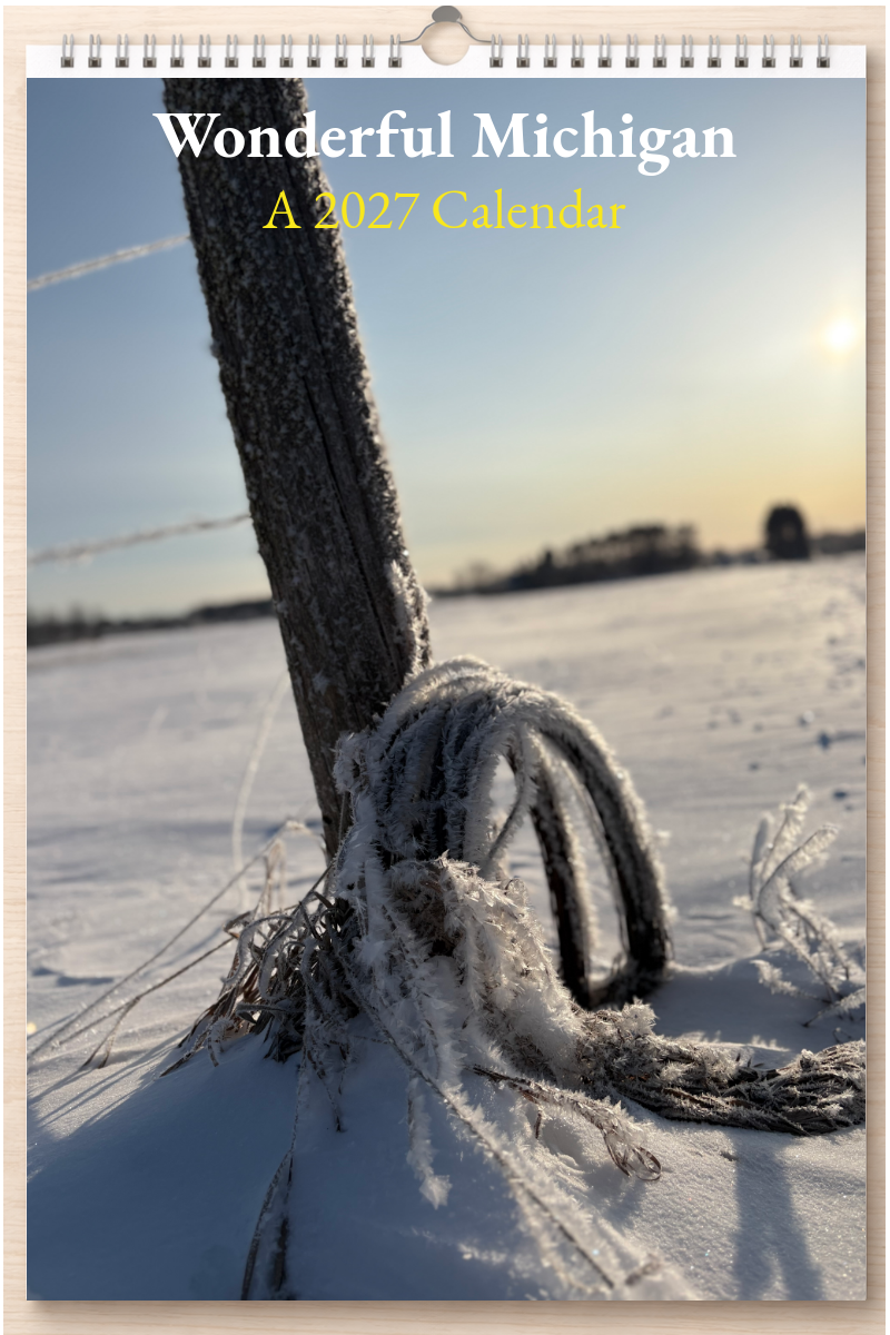 Wonderful Michigan: A 2027 Calendar