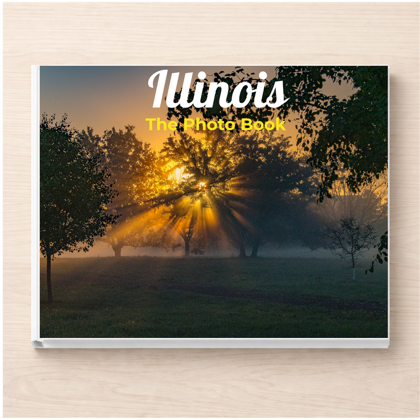 Illinois: The Photo Book