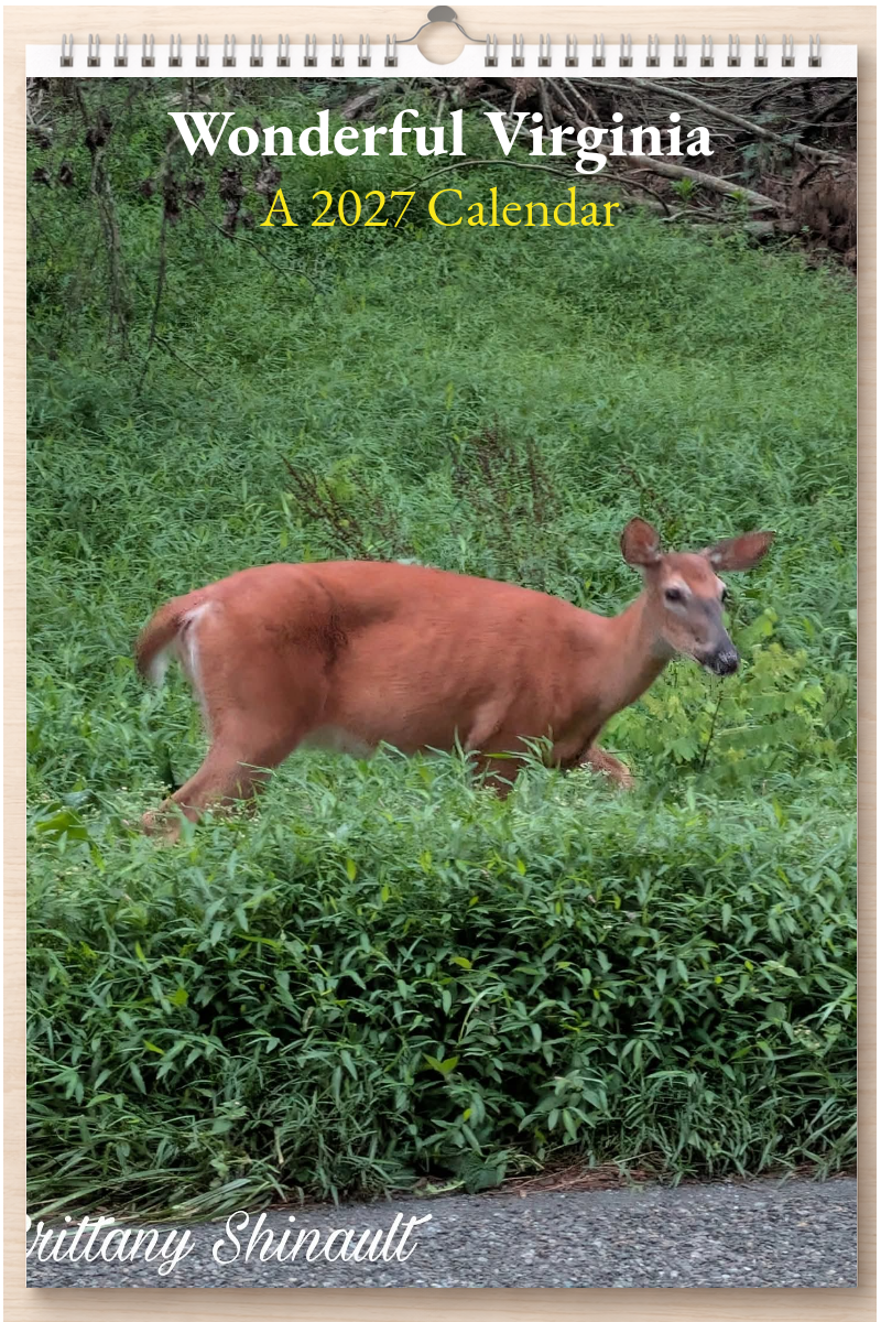 Wonderful Virginia: A 2027 Calendar