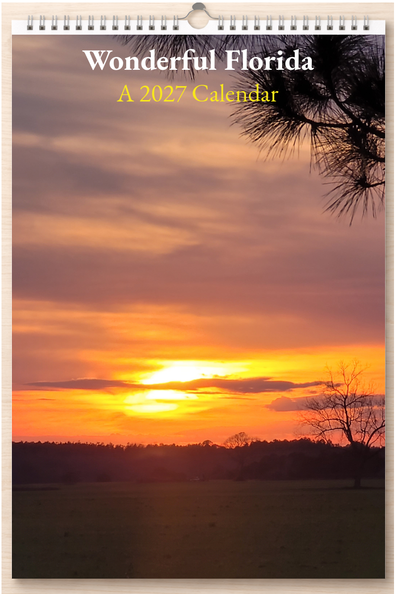 Wonderful Florida: A 2027 Calendar