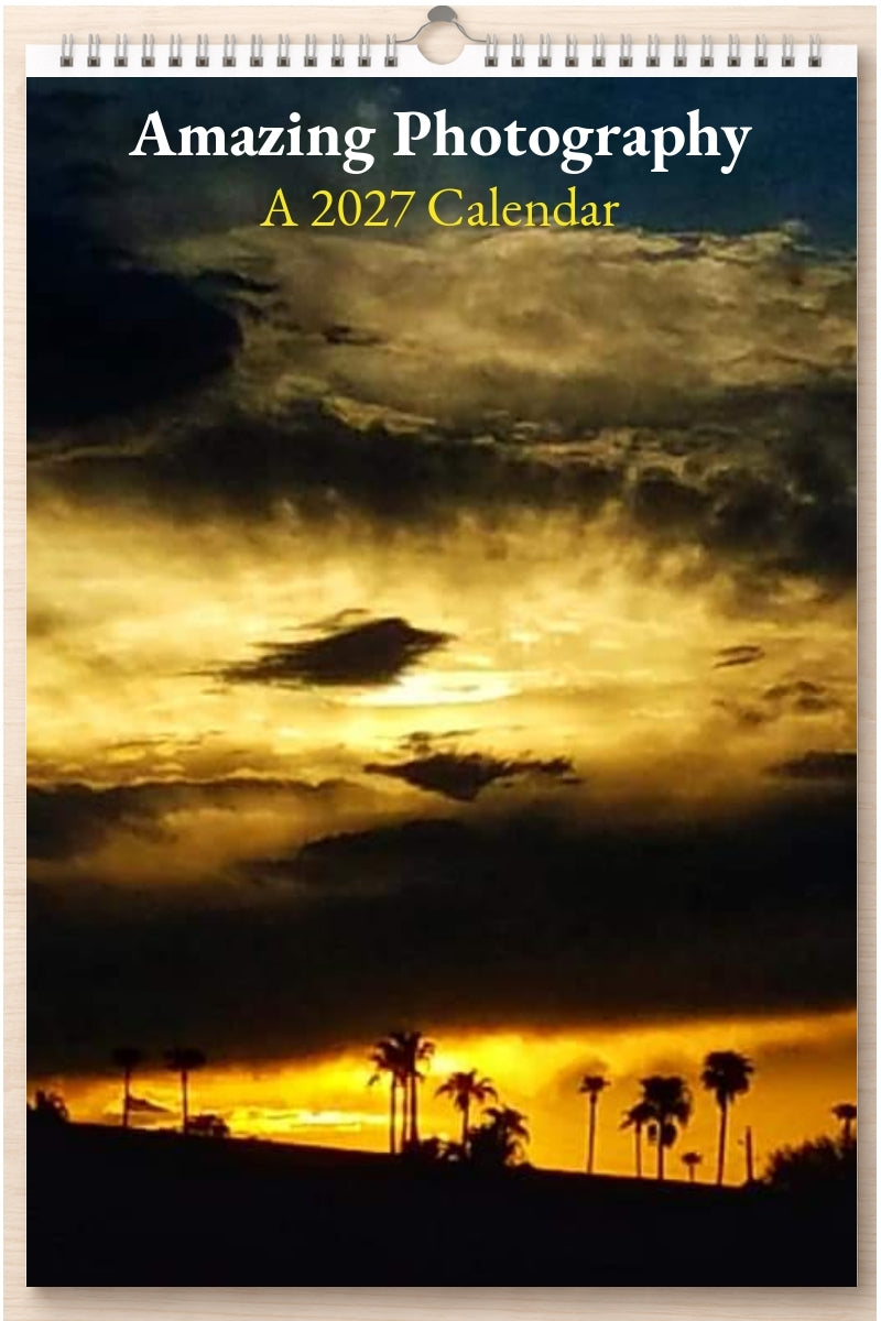Amazing Photography: A 2027 Calendar