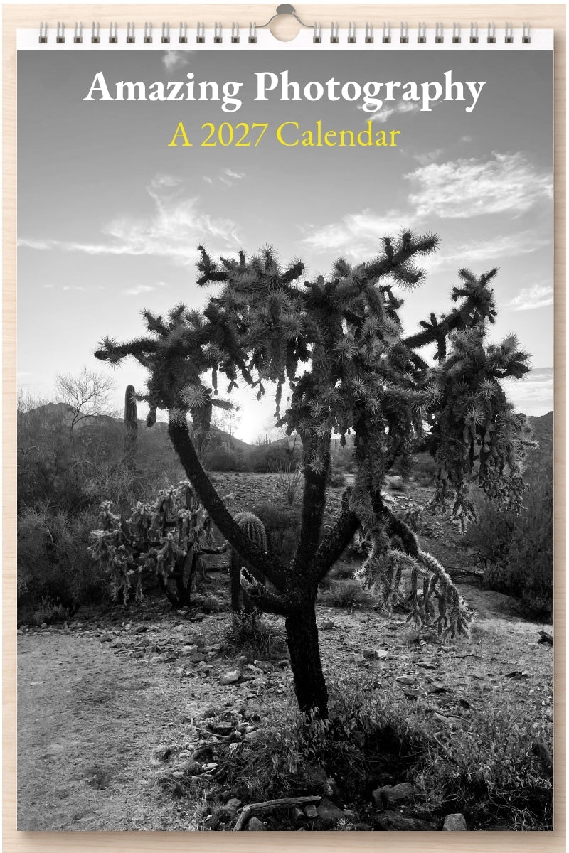 Amazing Photography: A 2027 Calendar