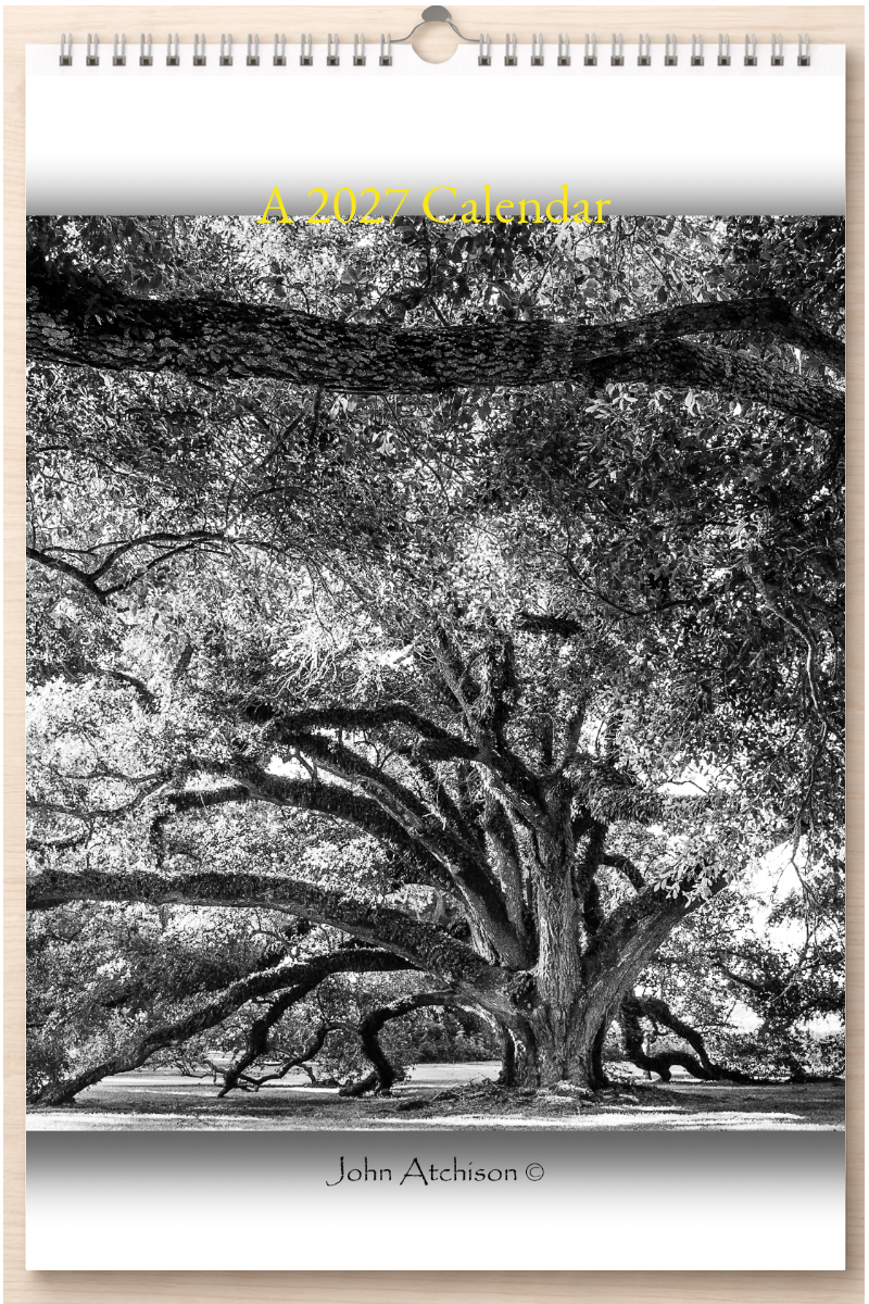 Wonderful Louisiana: A 2027 Calendar
