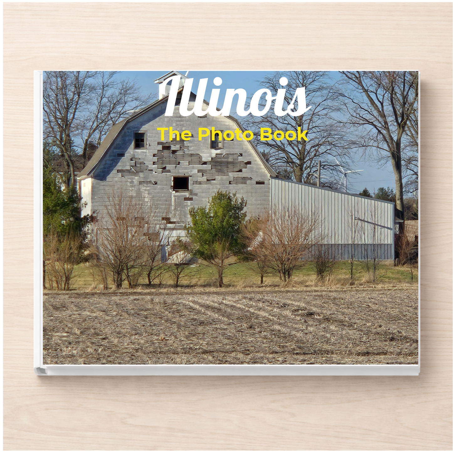 Illinois: The Photo Book