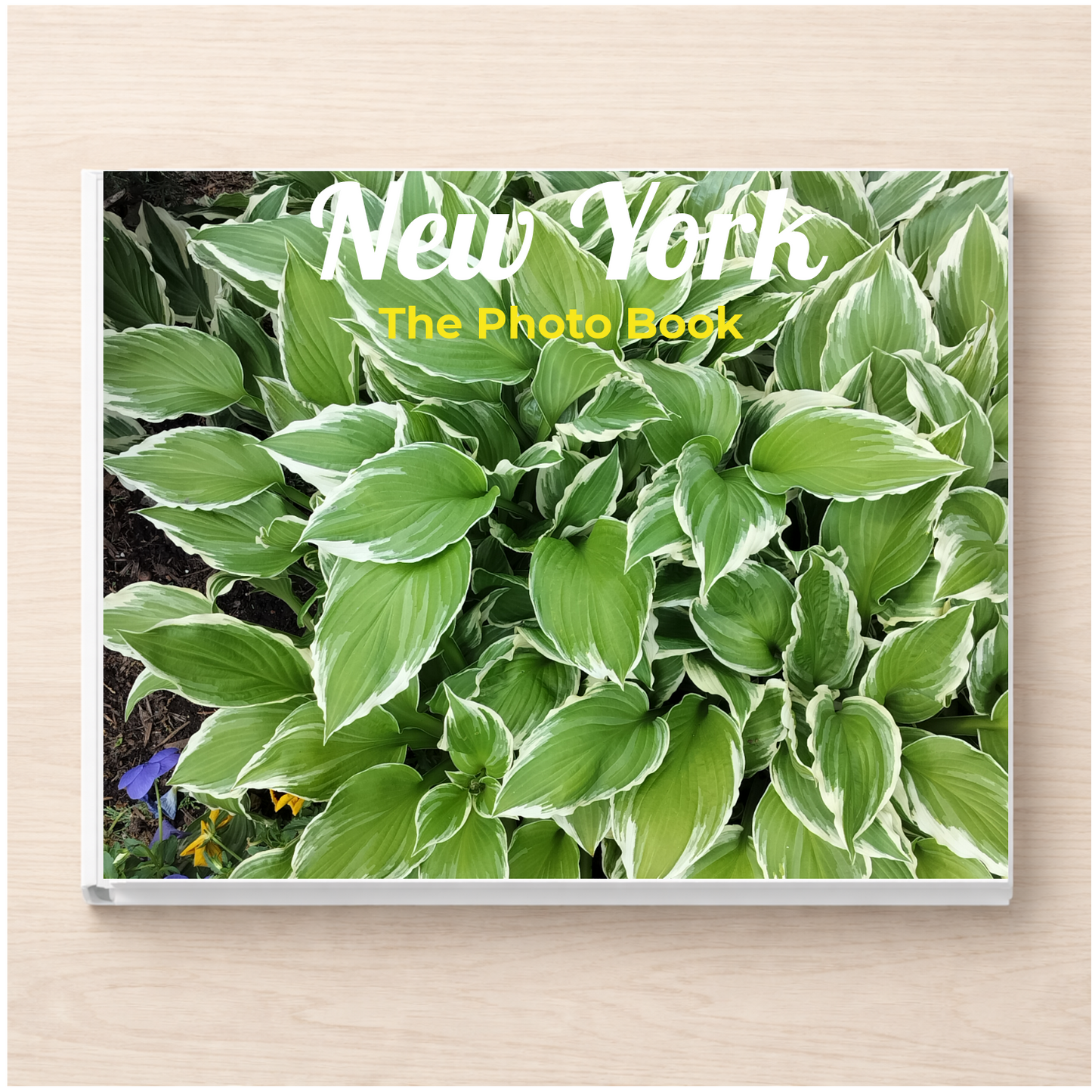 New York: The Photo Book