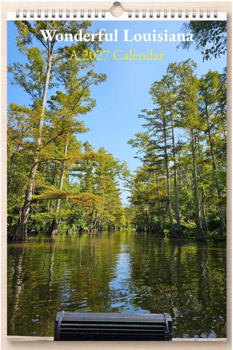 Wonderful Louisiana: A 2027 Calendar