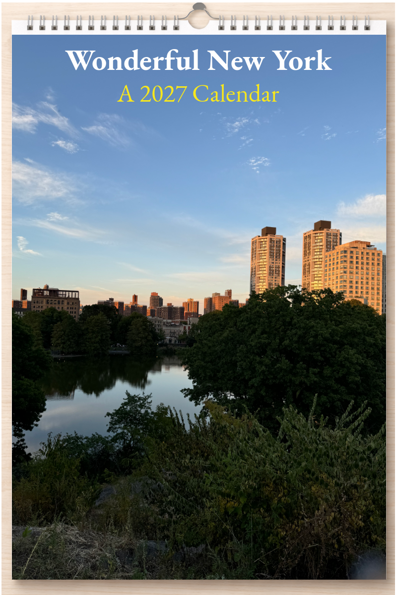 Wonderful New York: A 2027 Calendar