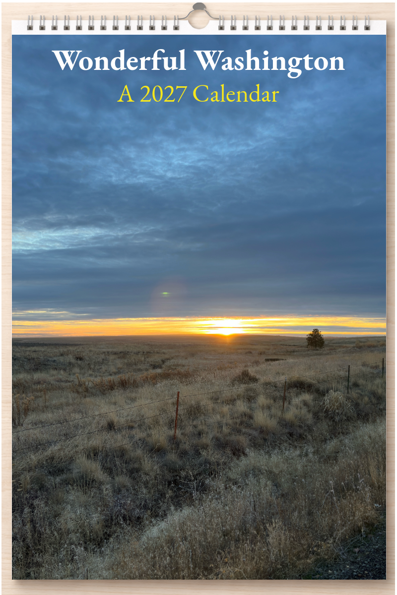 Wonderful Washington: A 2027 Calendar