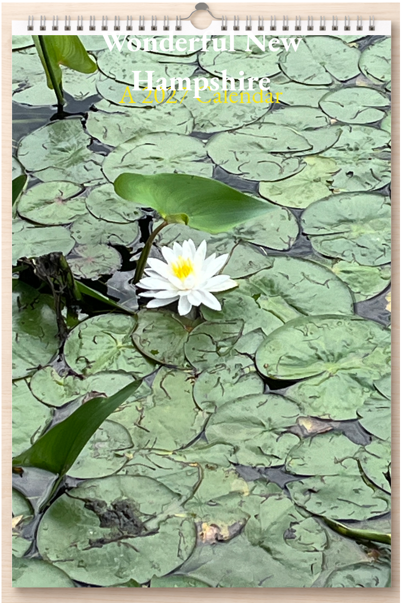 Wonderful New Hampshire: A 2027 Calendar