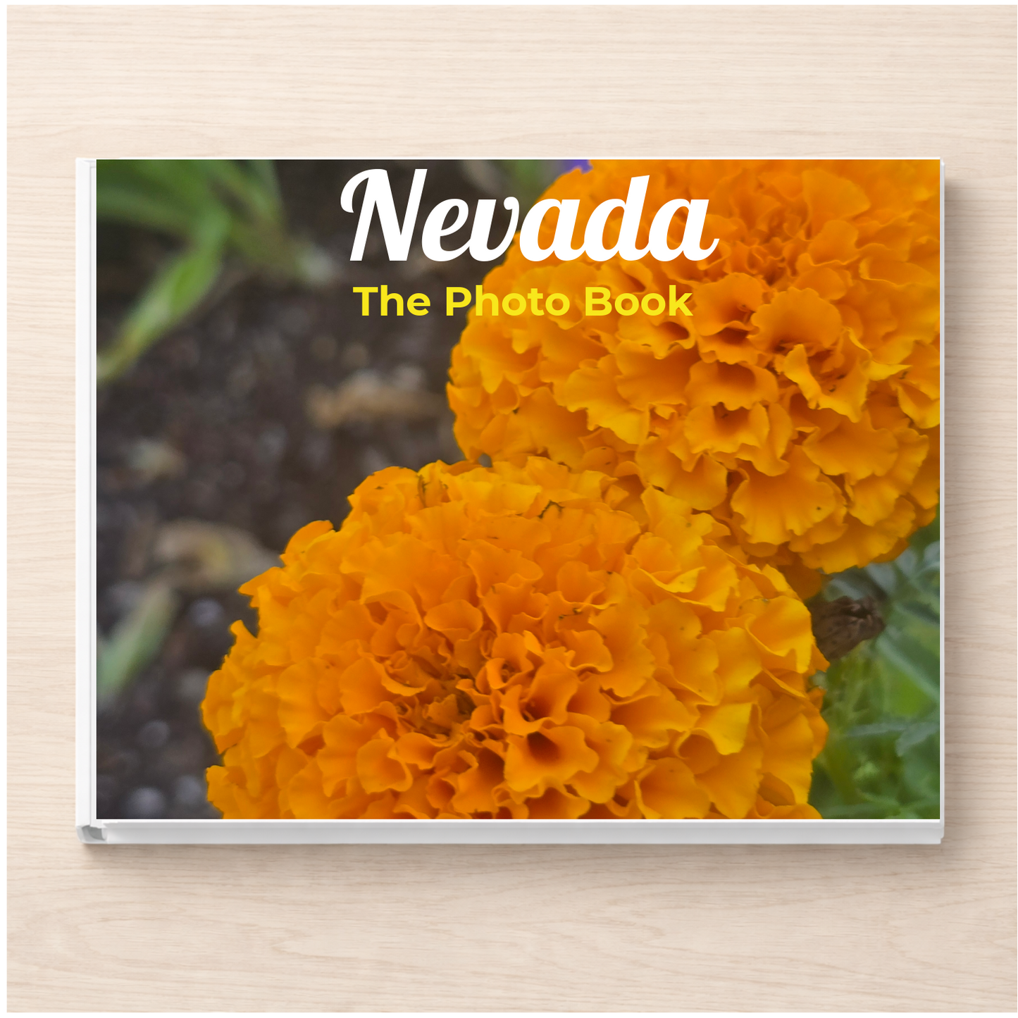 Nevada: The Photo Book