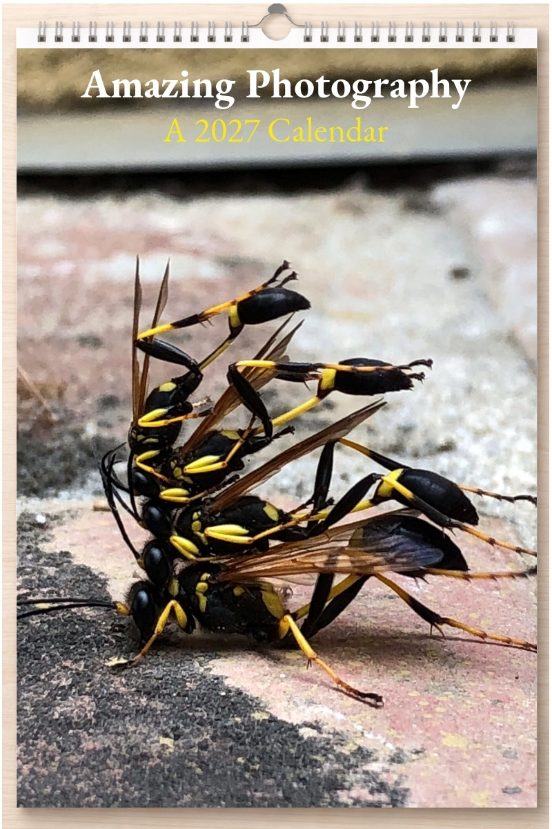 Amazing Photography: A 2027 Calendar
