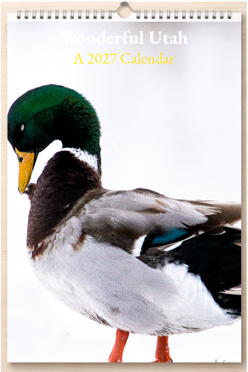 Wonderful Utah: A 2027 Calendar