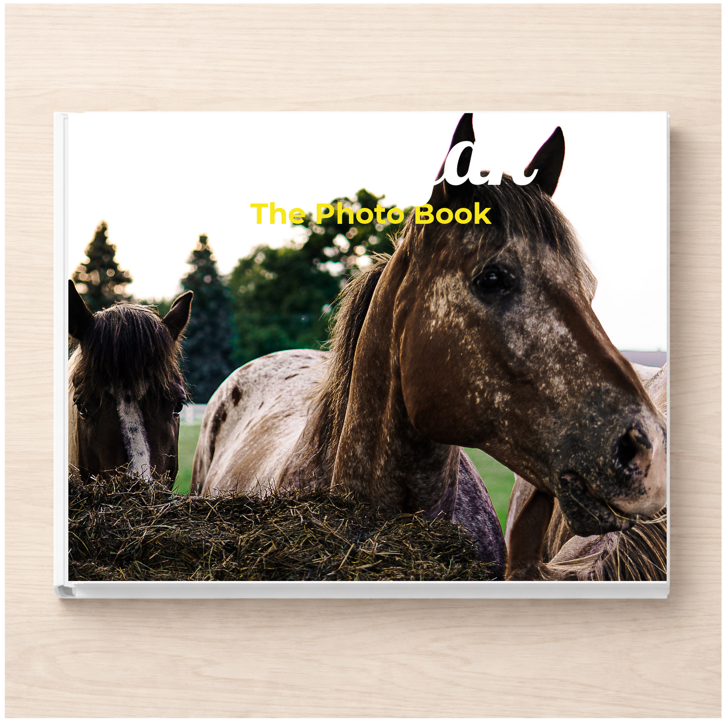 Michigan: The Photo Book