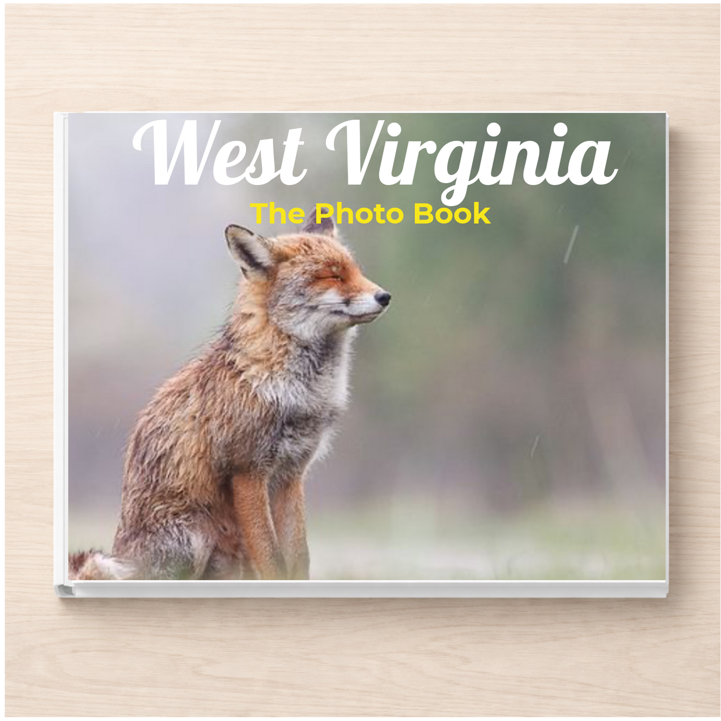 West Virginia: The Photo Book