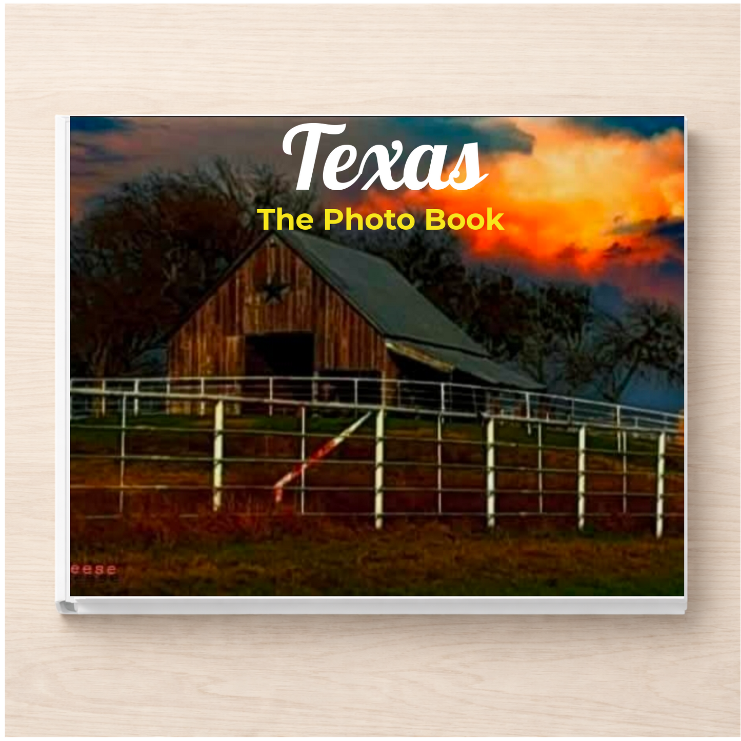 Texas: The Photo Book