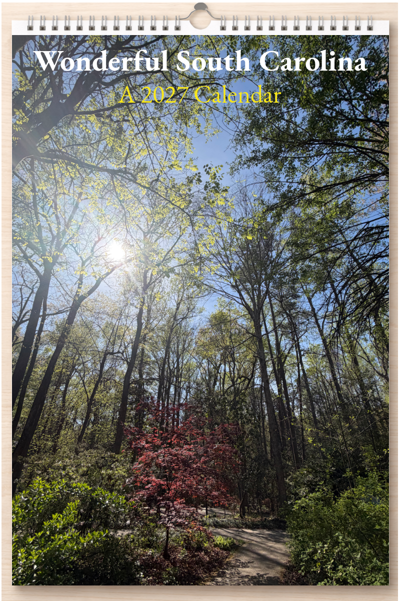 Wonderful South Carolina: A 2027 Calendar