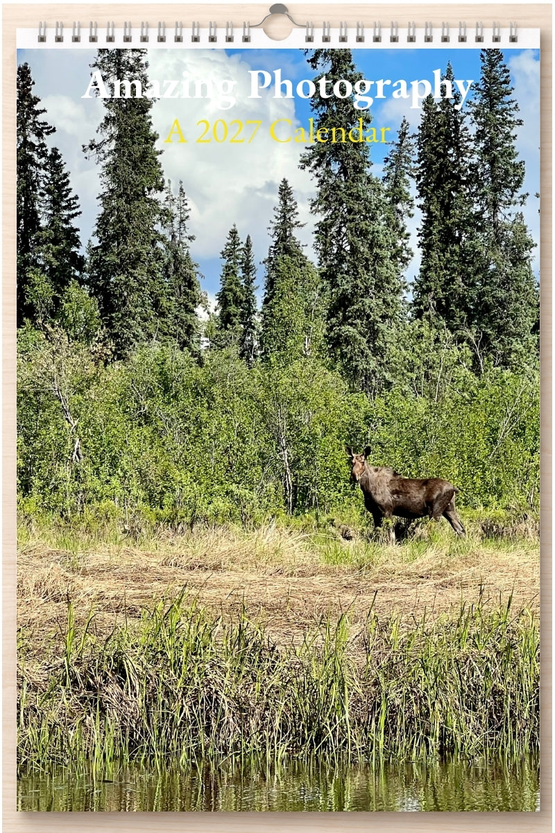 Amazing Photography: A 2027 Calendar