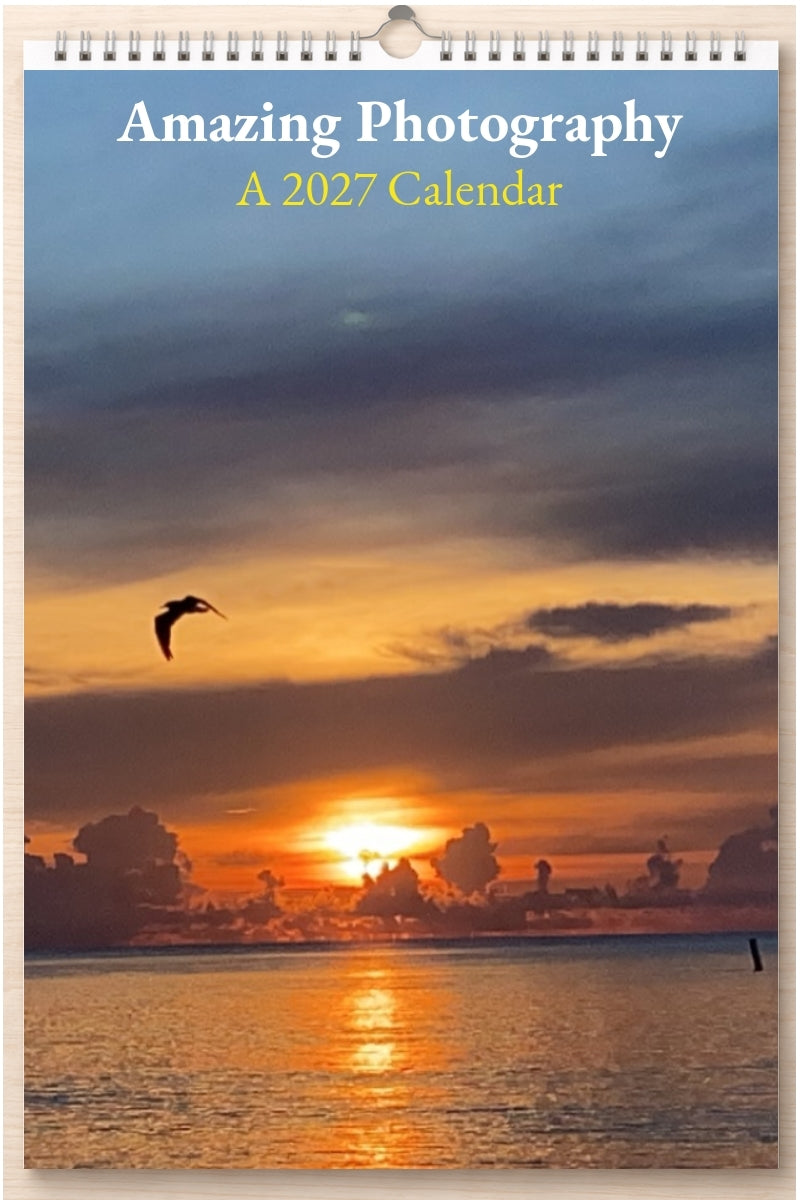 Amazing Photography: A 2027 Calendar
