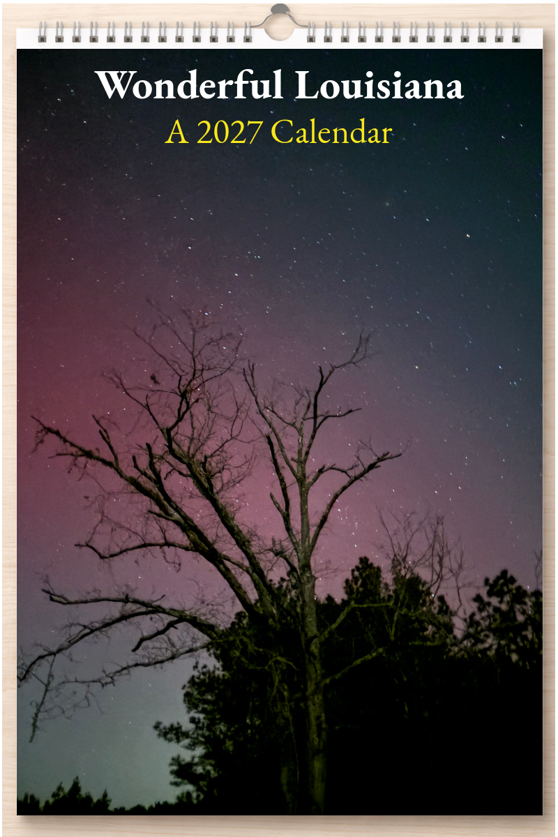 Wonderful Louisiana: A 2027 Calendar