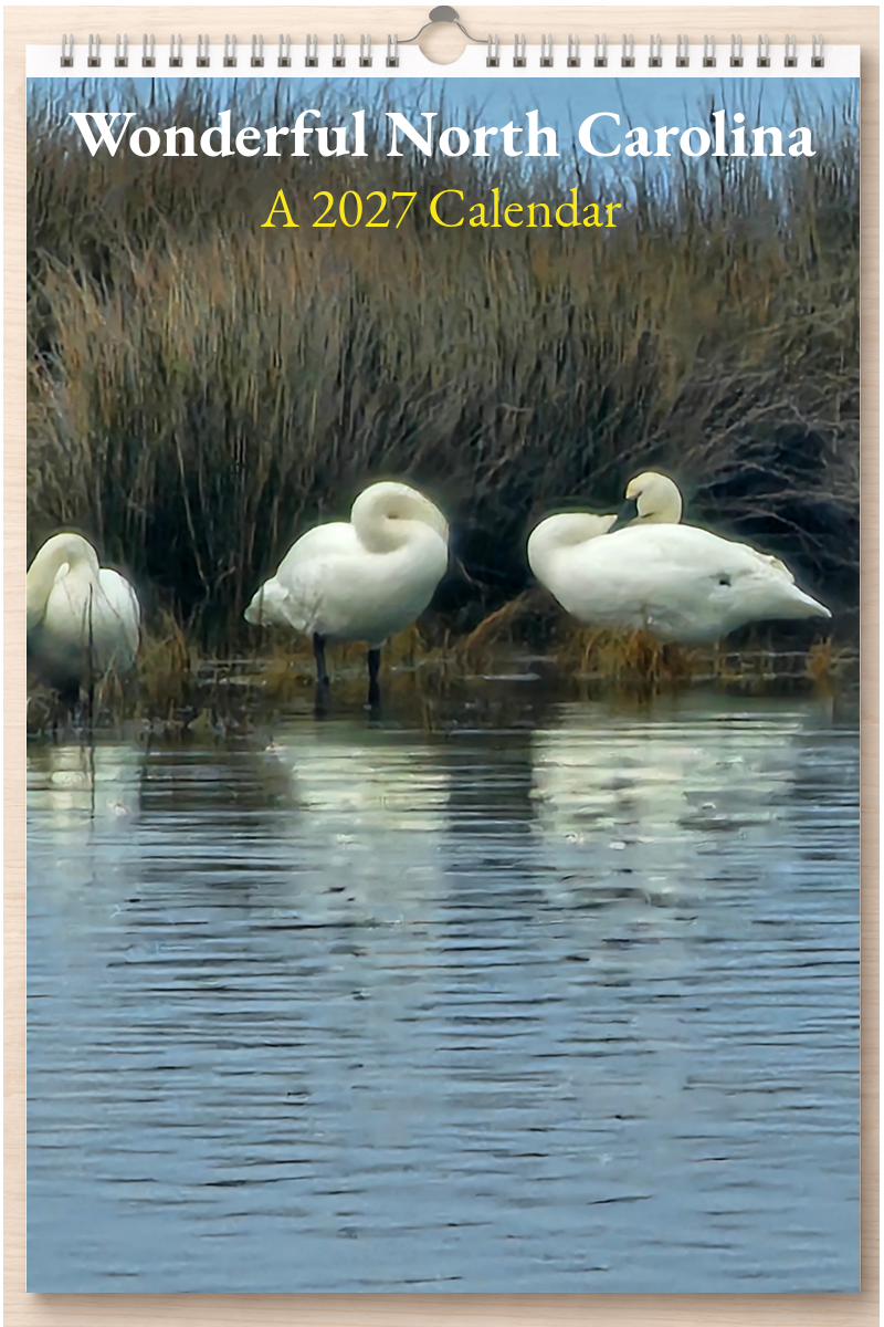 Wonderful North Carolina: A 2027 Calendar
