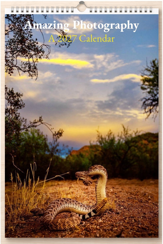 Amazing Photography: A 2027 Calendar