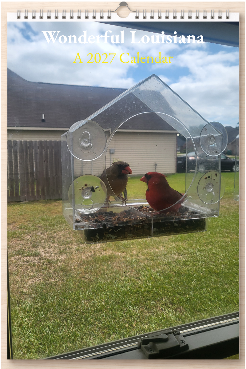 Wonderful Louisiana: A 2027 Calendar
