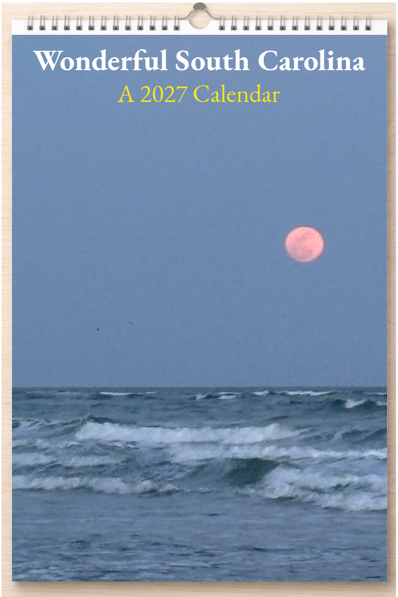 Wonderful South Carolina: A 2027 Calendar