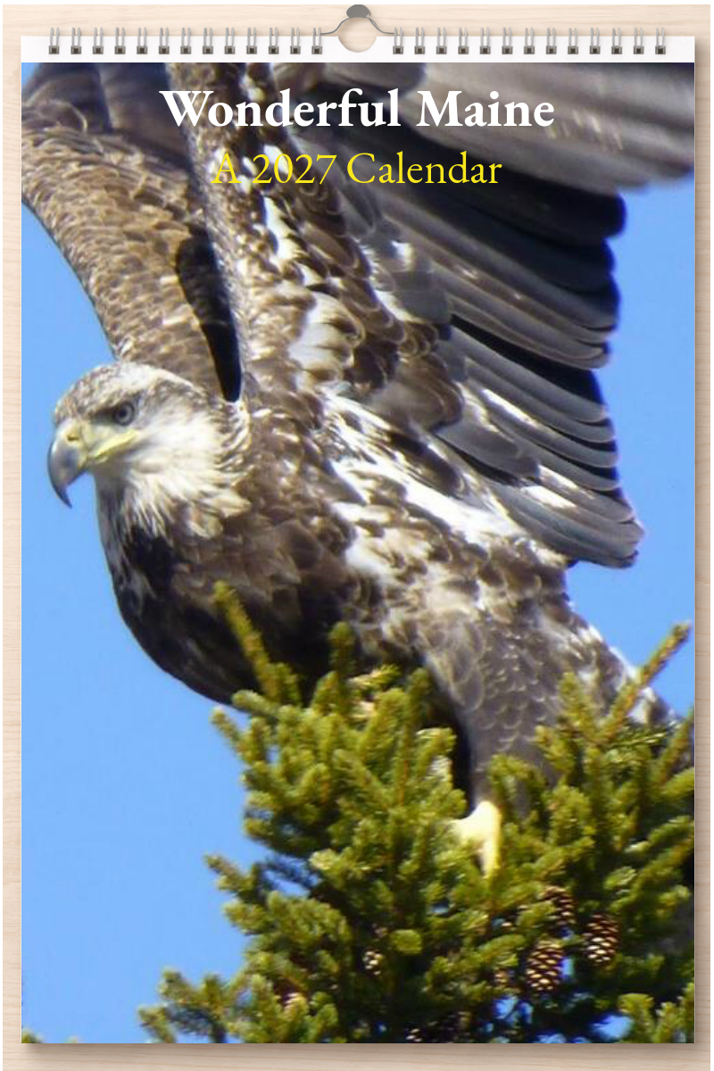 Wonderful Maine: A 2027 Calendar