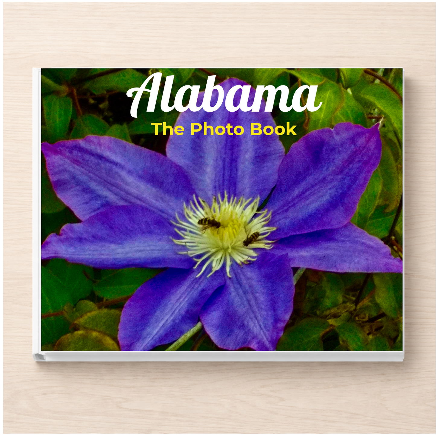 Alabama: The Photo Book