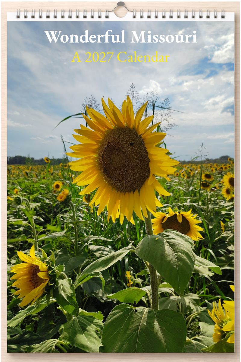Wonderful Missouri: A 2027 Calendar
