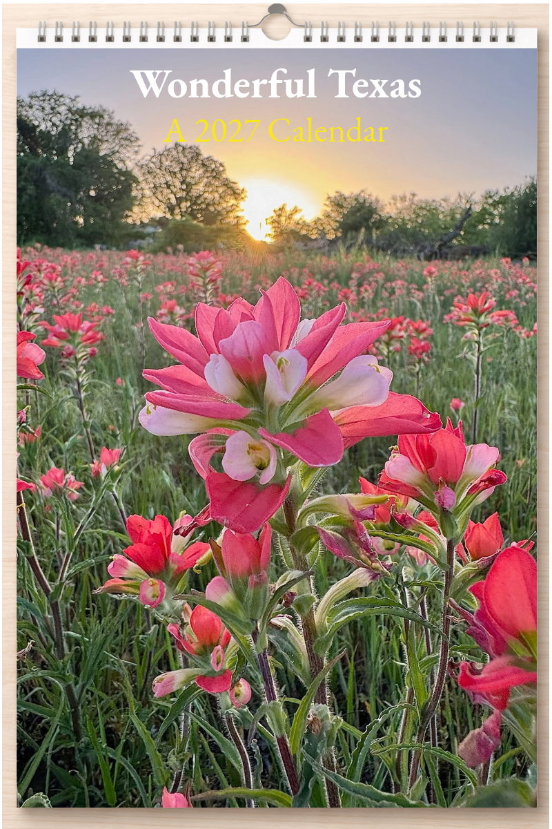 Wonderful Texas: A 2027 Calendar