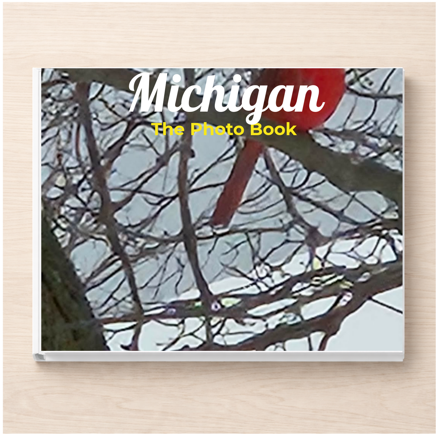 Michigan: The Photo Book
