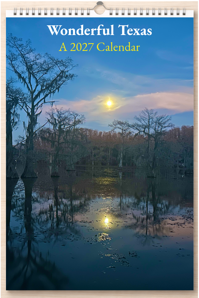 Wonderful Texas: A 2027 Calendar