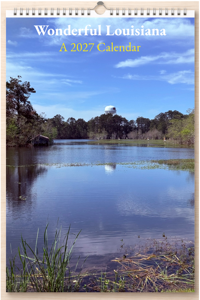 Wonderful Louisiana: A 2027 Calendar