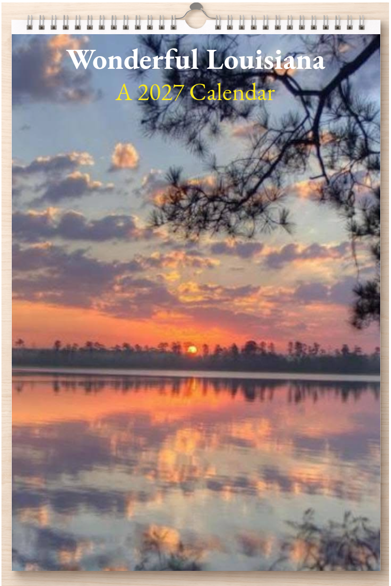 Wonderful Louisiana: A 2027 Calendar