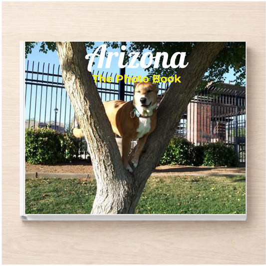 Arizona: The Photo Book
