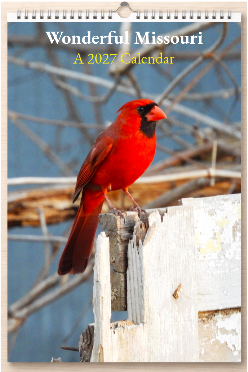 Wonderful Missouri: A 2027 Calendar