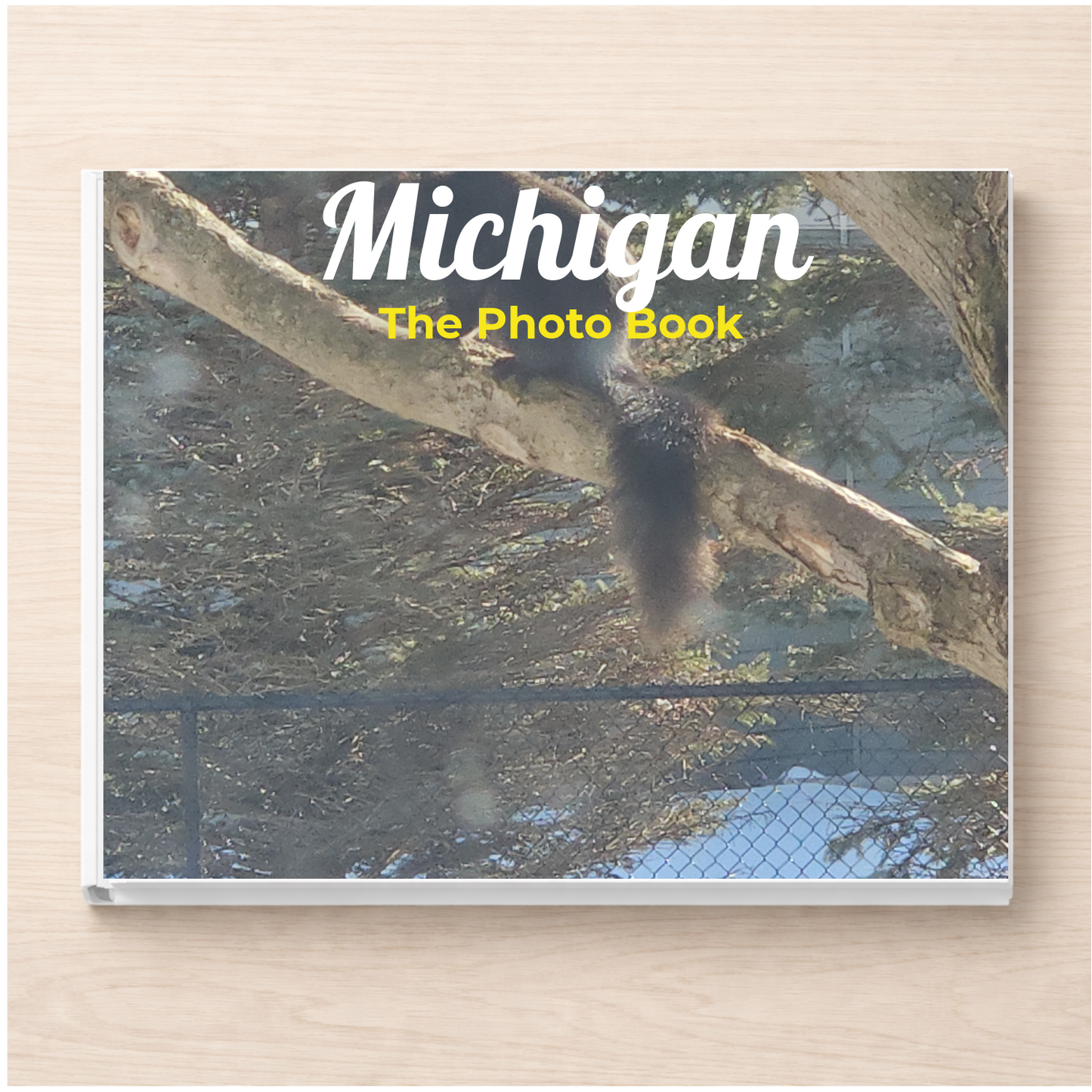 Michigan: The Photo Book