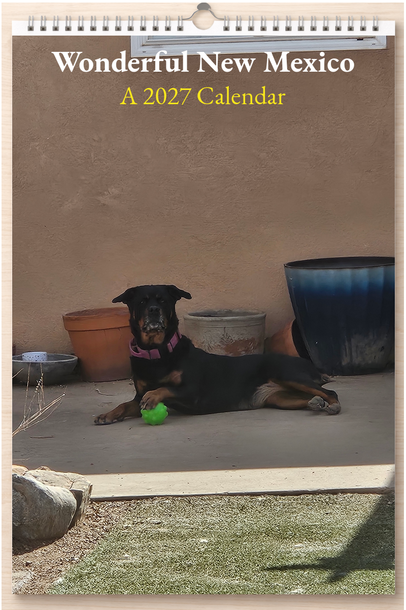 Wonderful New Mexico: A 2027 Calendar