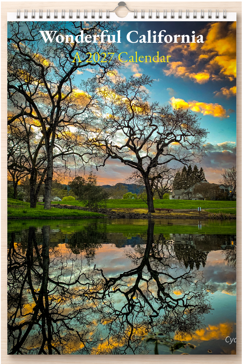 Wonderful California: A 2027 Calendar