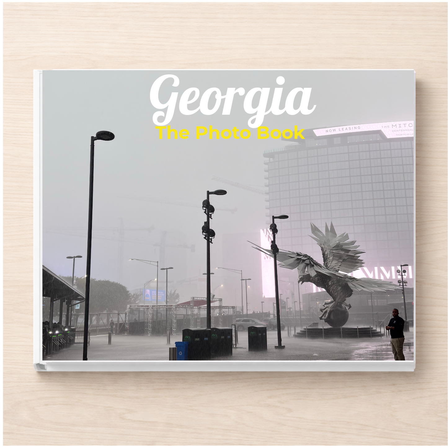Georgia: The Photo Book