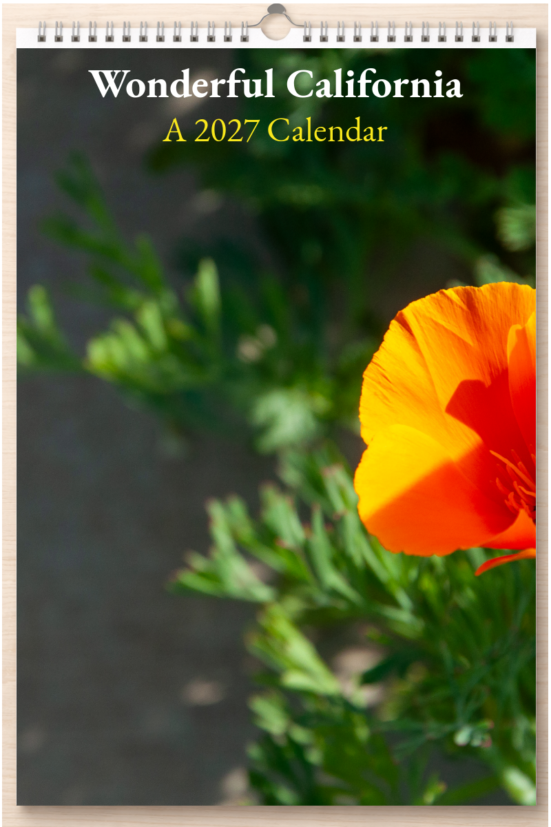 Wonderful California: A 2027 Calendar