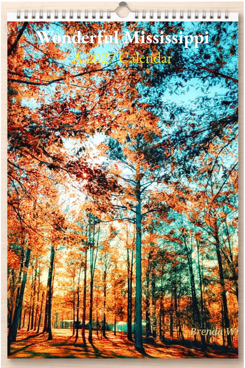 Wonderful Mississippi: A 2027 Calendar