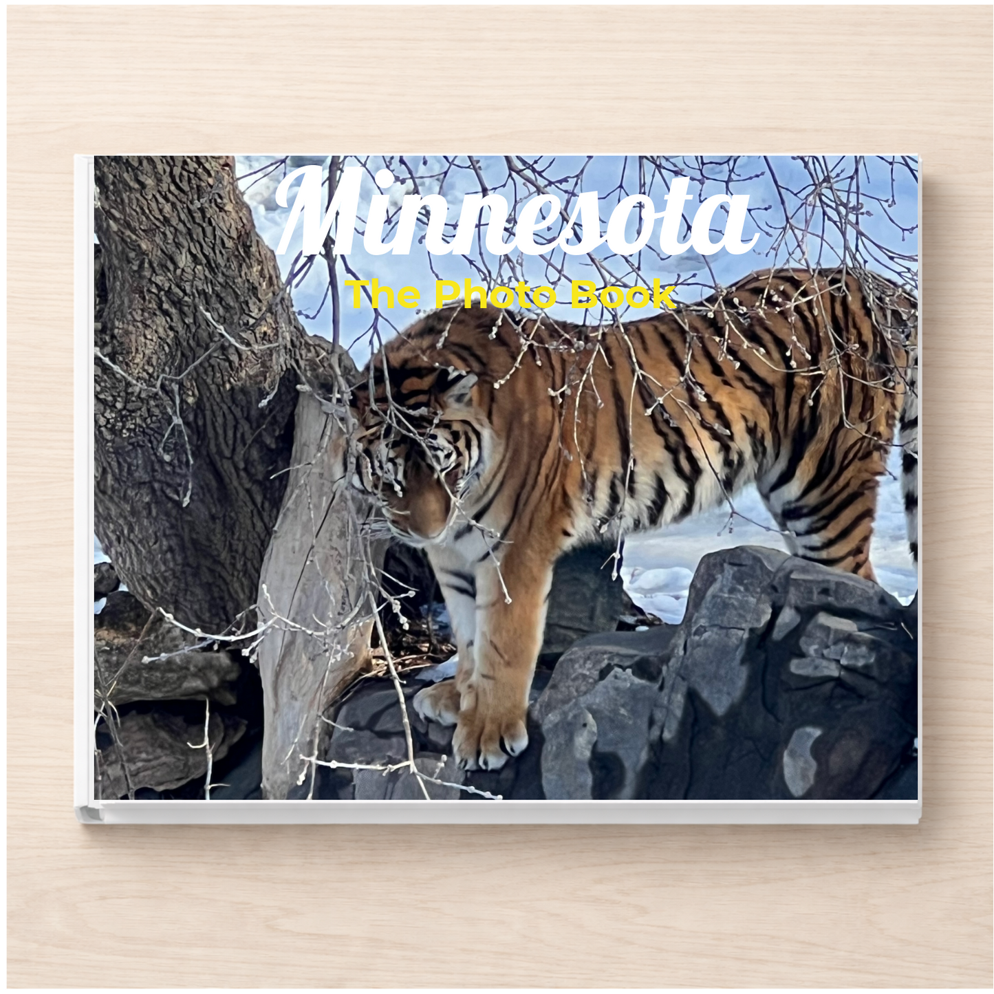 Minnesota: The Photo Book
